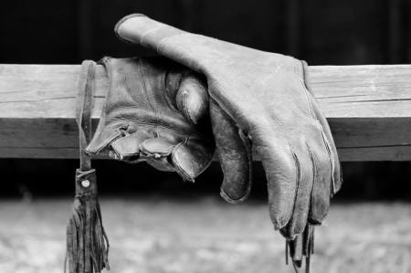 gloves birds of prey